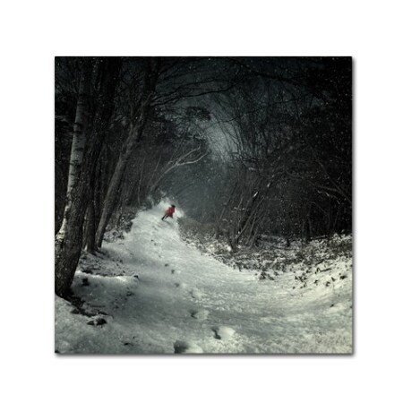 Trademark Fine Art Kiyo Murakami 'Into The Winter Forest' Canvas Art, 18x18 1X01520-C1818GG